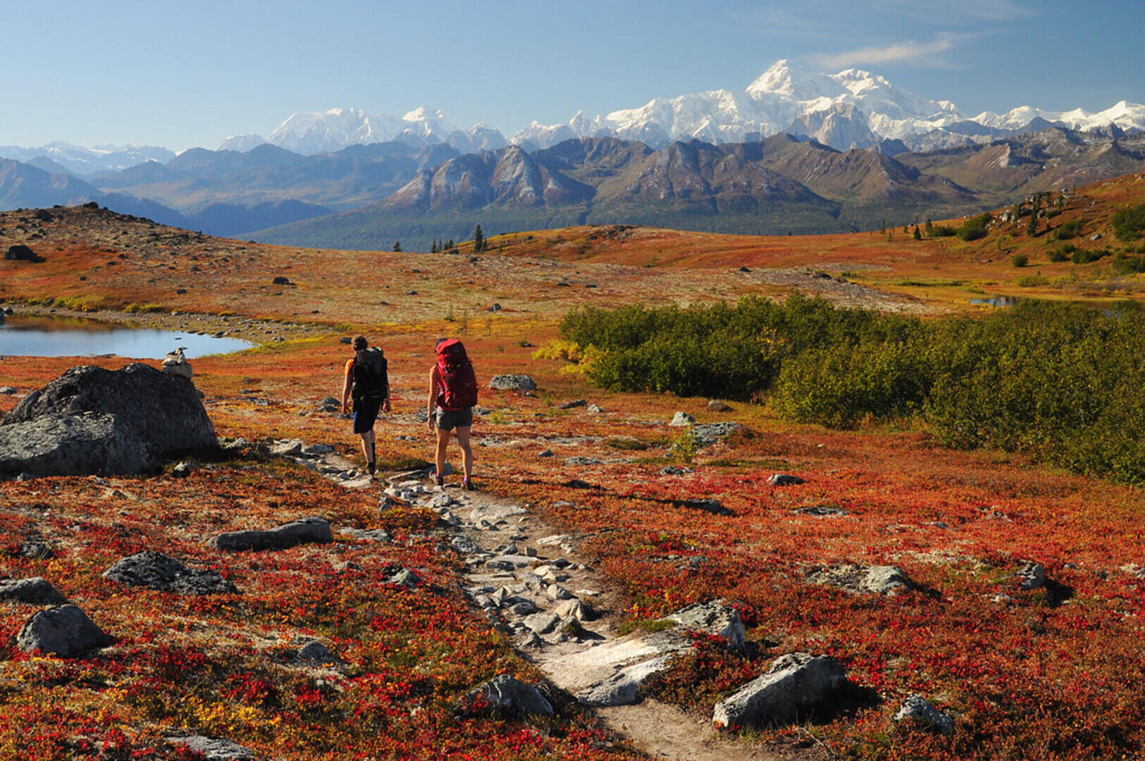 Hikers on Denali Trail